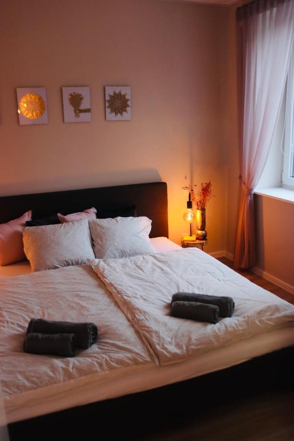 Apartment Im Herzen Der Stadt 布伦瑞克 外观 照片